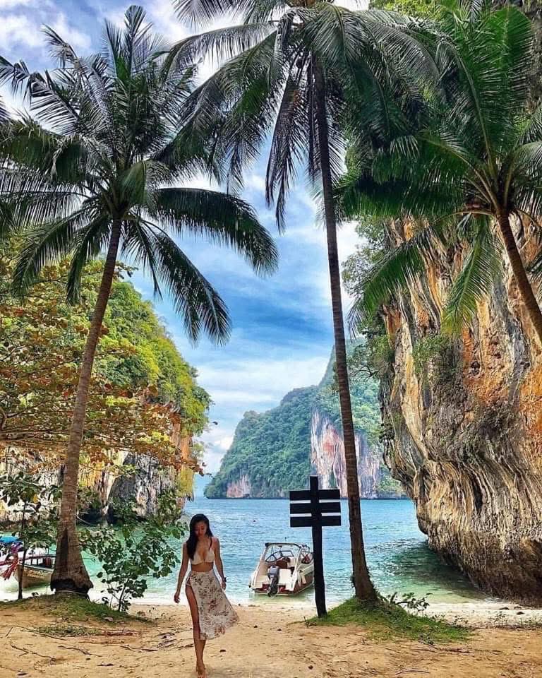 NomadNest 🪪🛩️🏝️🍹🏔️⛺️ tweet media