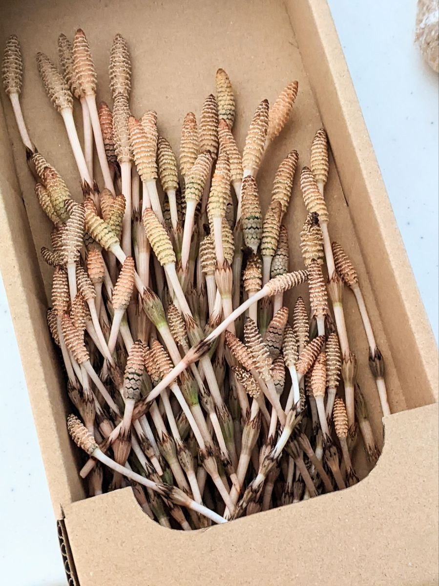 これがこうなってこう 