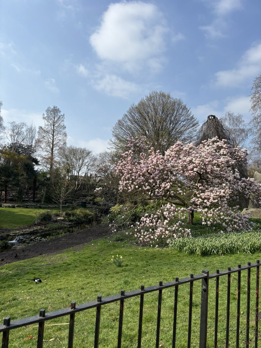 menywddig's tweet image. Hyde park в Лондоне огромен! По площади как половина моего городка в Уэльсе.