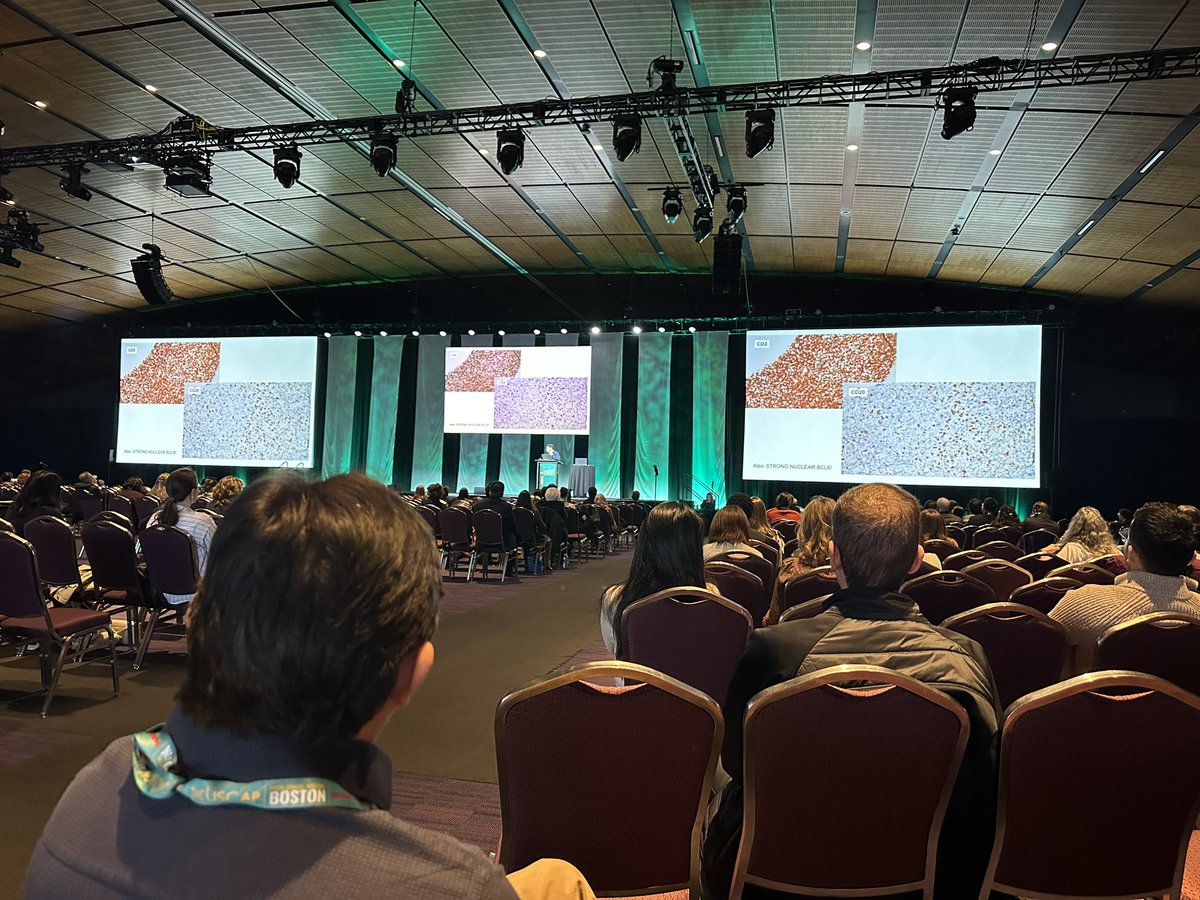 #HemePath galore ! 

Happening in Ballroom on level 3 right now 🏃 

#USCAP25 #USCAP2025
<a href="/TheUSCAP/">USCAP</a>