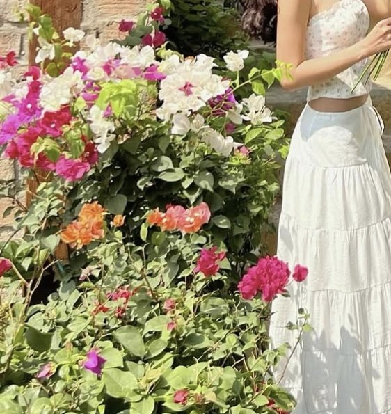 ͏͏͏͏ ͏͏ ͏͏ tweet media