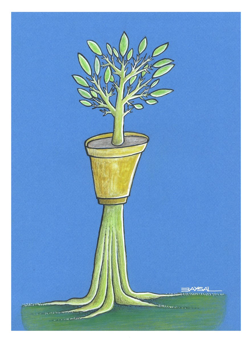 Ercan BAYSAL (@3aysal) on Twitter photo 