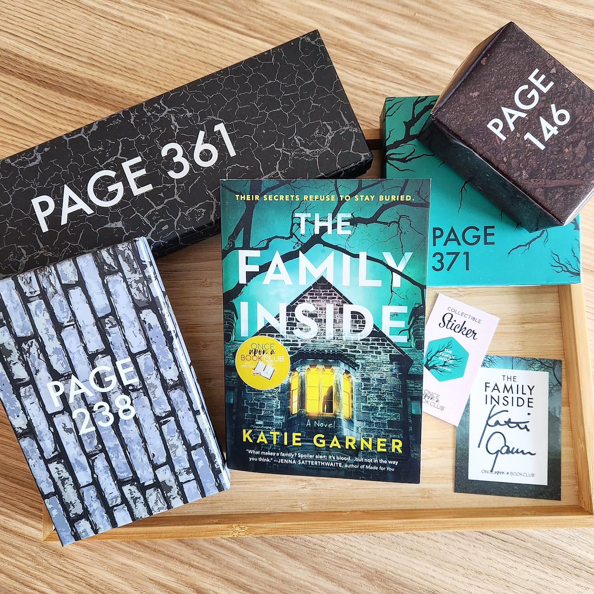 OUABookClub's tweet image. We are so excited to reveal our February "The Bone Garden" Adult box book selection! This month's box featured "The Family Inside" by Katie Garner along with four amazing gifts that brought this atmospheric thriller to life!⁠ 🦴🪓⁠ #OUABC #bookbox #thriller