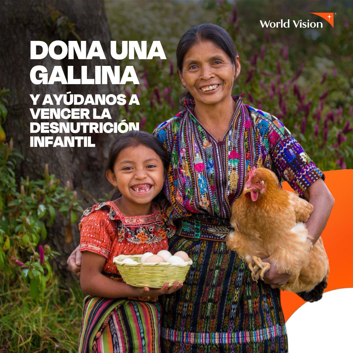Un estudio demuestra que niños que se alimentaron con huevos durante seis meses vencieron la desnutrición.  🥚🍽✨ - The Lulun Project

En nuestro país 1 de cada 2 sufren desnutrición crónica, cambiemos su historia, dona una gallina  🐔🧡:  worldvision.org.gt/heroes/donacio…