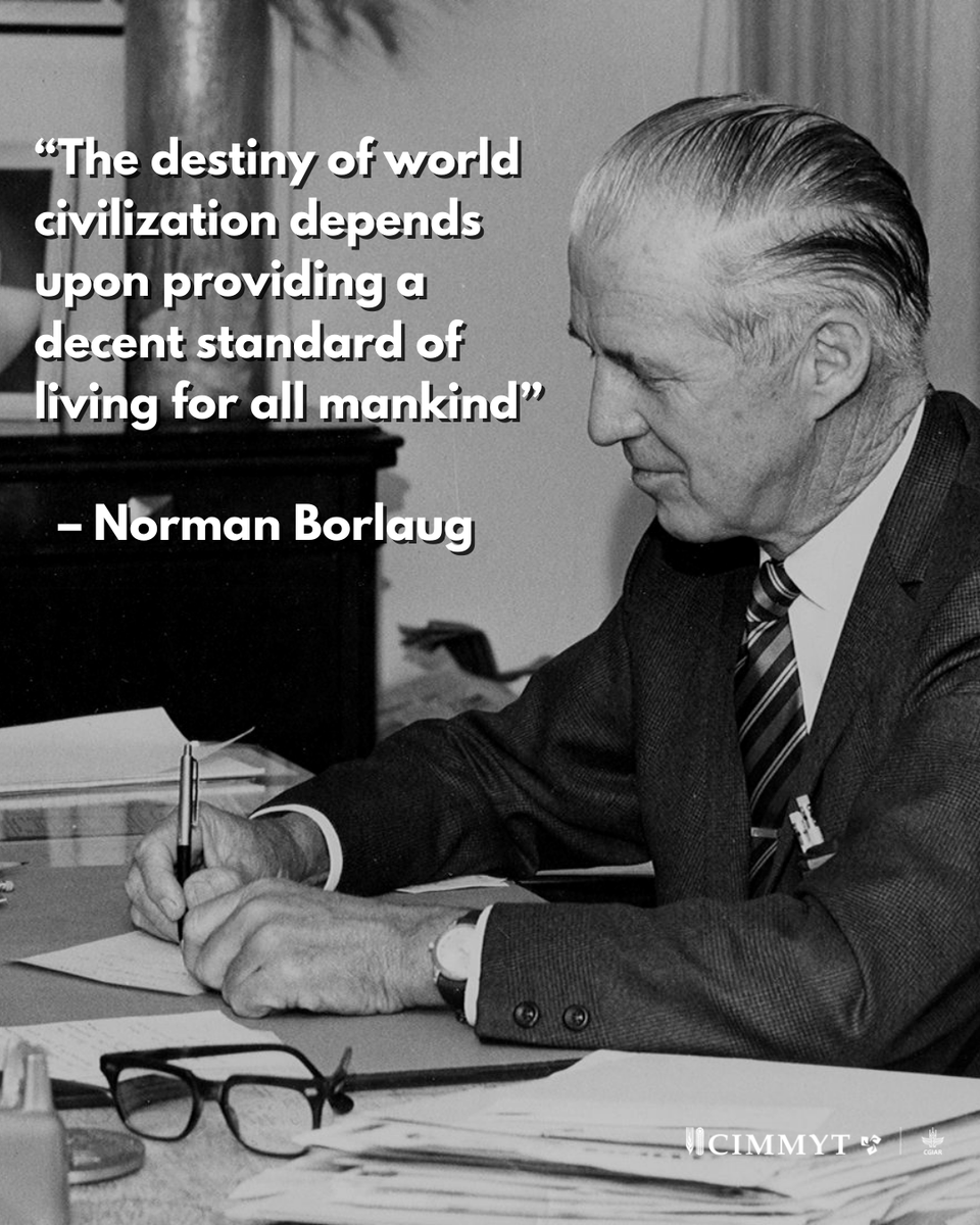Today we honor the birth of #CIMMYT’s founder, and the Father of the Green Revolution, #NormanBorlaug. 🌾 His work revolutionized global agriculture,  helping to combat hunger and ensure #FoodSecurity for all. 
His legacy and impact will live on!🌱🎉