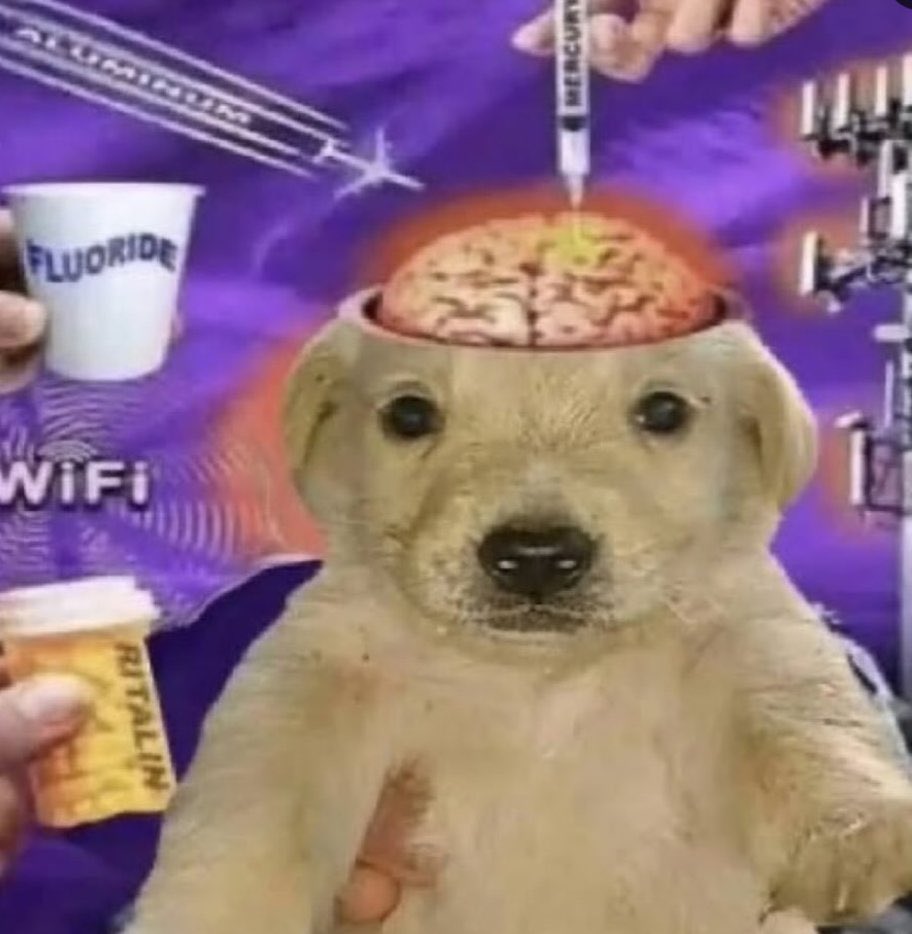 picking up an interest you had at age ten feels like this