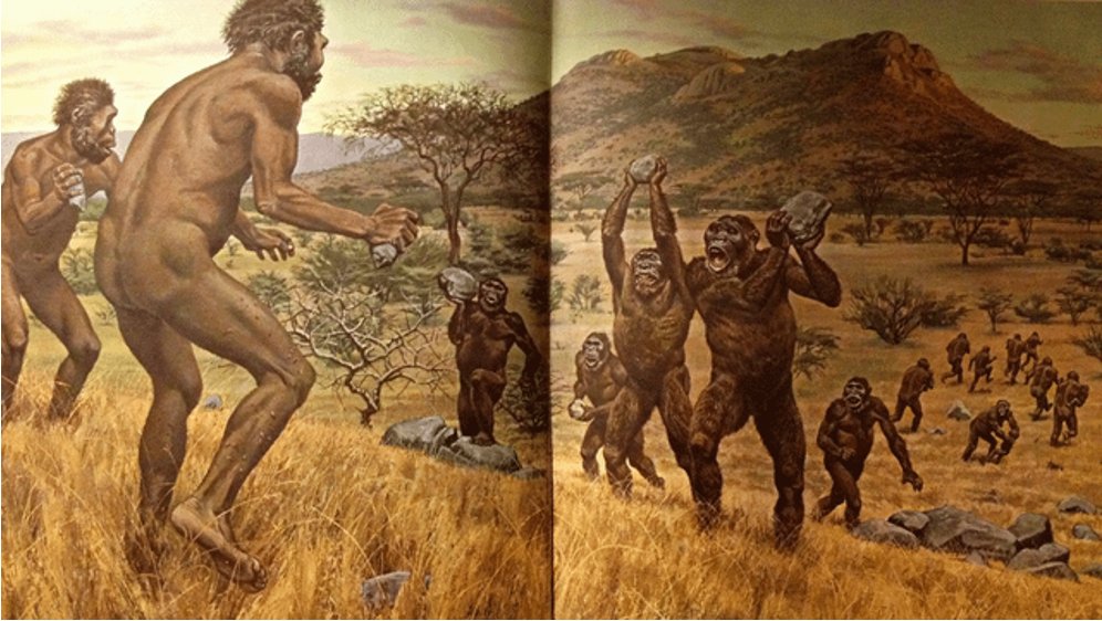 Off the wall hypothesis. We know H. erectus and Australopithecus lived in the same habitat at the same time for a short while. We have some reasons to think erectus was doing collective big game hunting. We have some reason to think that Australopiths were more similar to