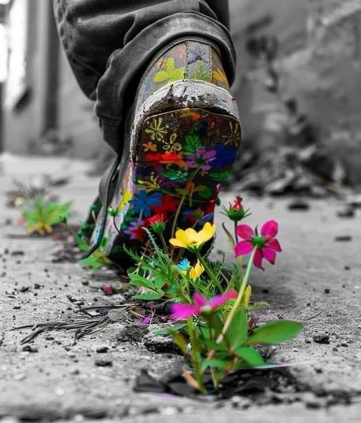 “Ben her bahar aşık olmam
ama her bahar gitmek isterim.
gittiğim olmadı hiç, 
ama olsun;
istemek de güzel…!
İyi akşamlar.. 
#canyücel