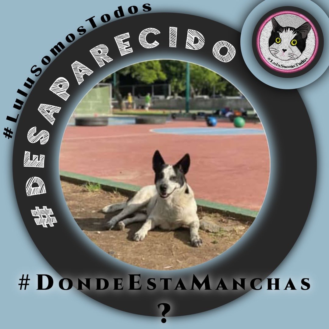 Nutrecajo tweet media