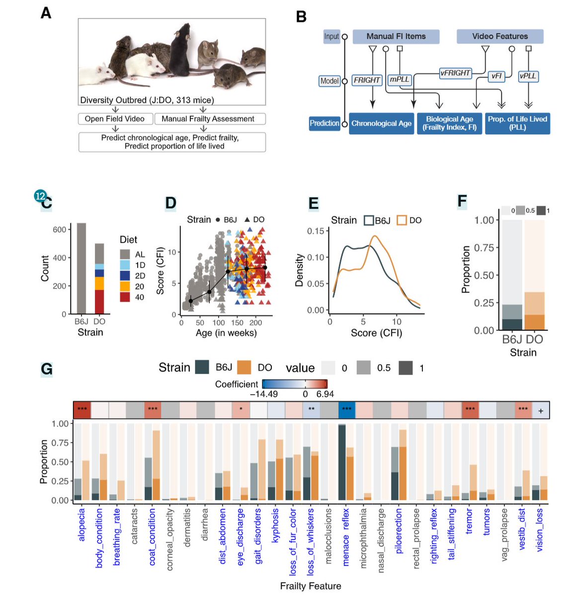 GeroScience (@geroscienceage) on Twitter photo 📢New in GeroScience by Springer Nature
Machine vision-based frailty assessment for genetically diverse mice by Gautam S. Sabnis (<a href="/GautamSabnis/">Gautam Sabnis</a>), Gary A. Churchill & Vivek Kumar (<a href="/Vivekdna/">Vivek Kumar</a>).
link.springer.com/article/10.100…
#frailtyindex #ComputerVision #machinelearning 📢New in GeroScience by Springer Nature
Machine vision-based frailty assessment for genetically diverse mice by Gautam S. Sabnis (<a href="/GautamSabnis/">Gautam Sabnis</a>), Gary A. Churchill & Vivek Kumar (<a href="/Vivekdna/">Vivek Kumar</a>).
link.springer.com/article/10.100…
#frailtyindex #ComputerVision #machinelearning