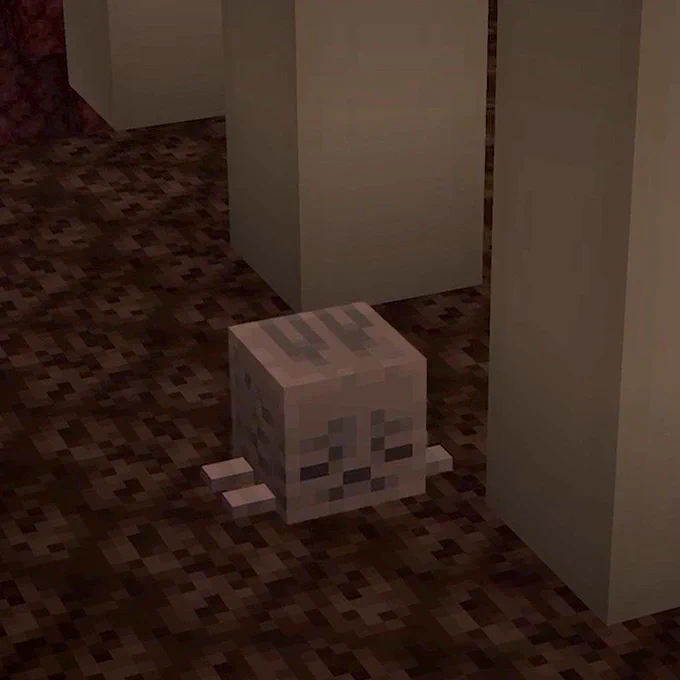 feed him snowball. 