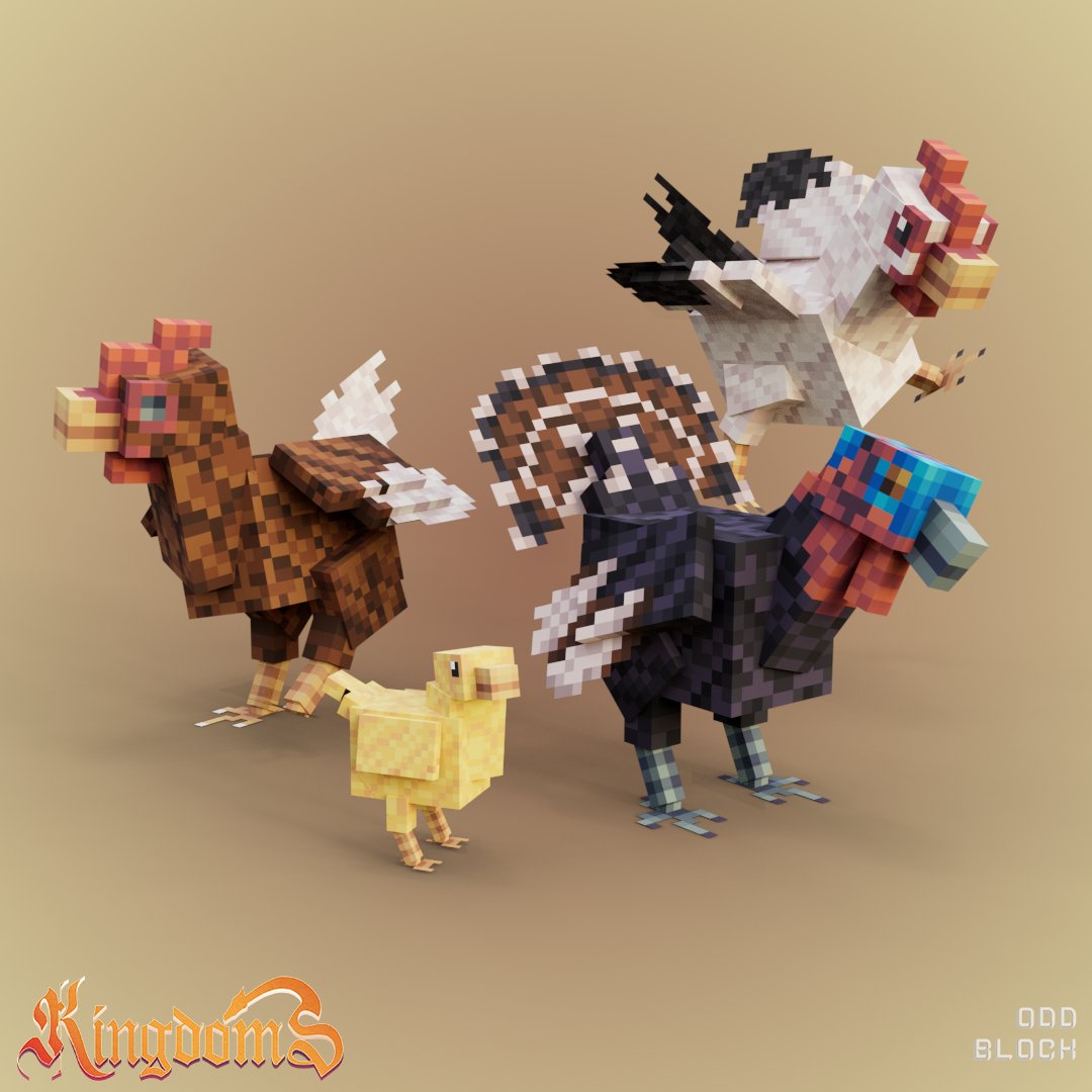 Look all those chickens!