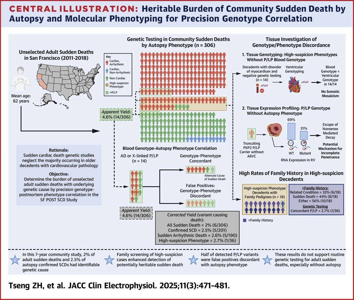 JACC Journals (@jaccjournals) on Twitter photo In this 7-year countywide study, 2% of sudden deaths and 2.5% of confirmed SCDs had a genetic cause. Findings do not support routine genetic testing for community SCDs, especially without autopsy. jacc.org/doi/10.1016/j.…
#JACCCEP #EPeeps <a href="/SF_POSTSCD/">POST SCD Study</a> <a href="/JamesSalazarMD/">James Salazar</a> In this 7-year countywide study, 2% of sudden deaths and 2.5% of confirmed SCDs had a genetic cause. Findings do not support routine genetic testing for community SCDs, especially without autopsy. jacc.org/doi/10.1016/j.…
#JACCCEP #EPeeps <a href="/SF_POSTSCD/">POST SCD Study</a> <a href="/JamesSalazarMD/">James Salazar</a>