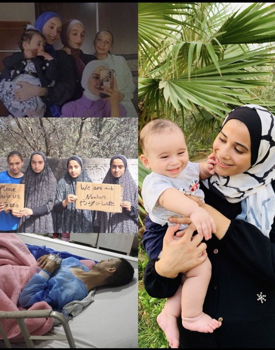 Noha Akram 𓂆𓂆 tweet media