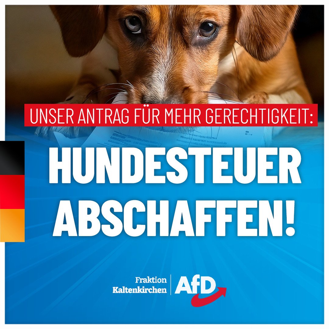 PRESSEMITTEILUNG

Kaltenkirchen: Die Hundesteuer ist ungerecht und muss abgeschafft werden!

Die AfD-Fraktion beantragt, ab dem kommenden Jahr die Hundesteuer in Kaltenkirchen abzuschaffen. Der Hauptausschuß berät den Antrag am 25. März ab 18:30 Uhr, die Stadtvertretung wird am