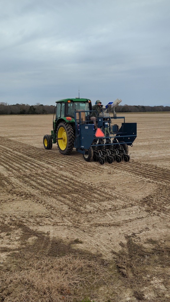 46% of the state's rice crop has been planted. That includes some of the LSU AgCenter H. Rouse Caffey Rice Research Station's fields! These fields are critical to the LSU AgCenter’s rice variety development program, the flagship investment of your checkoff dollars.