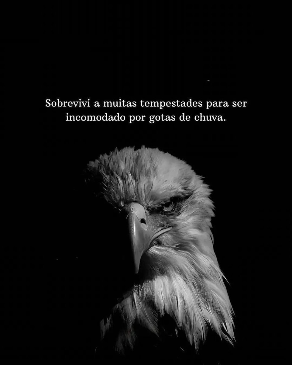 filosofia de poder (@mensagemdepoder) on Twitter photo 
