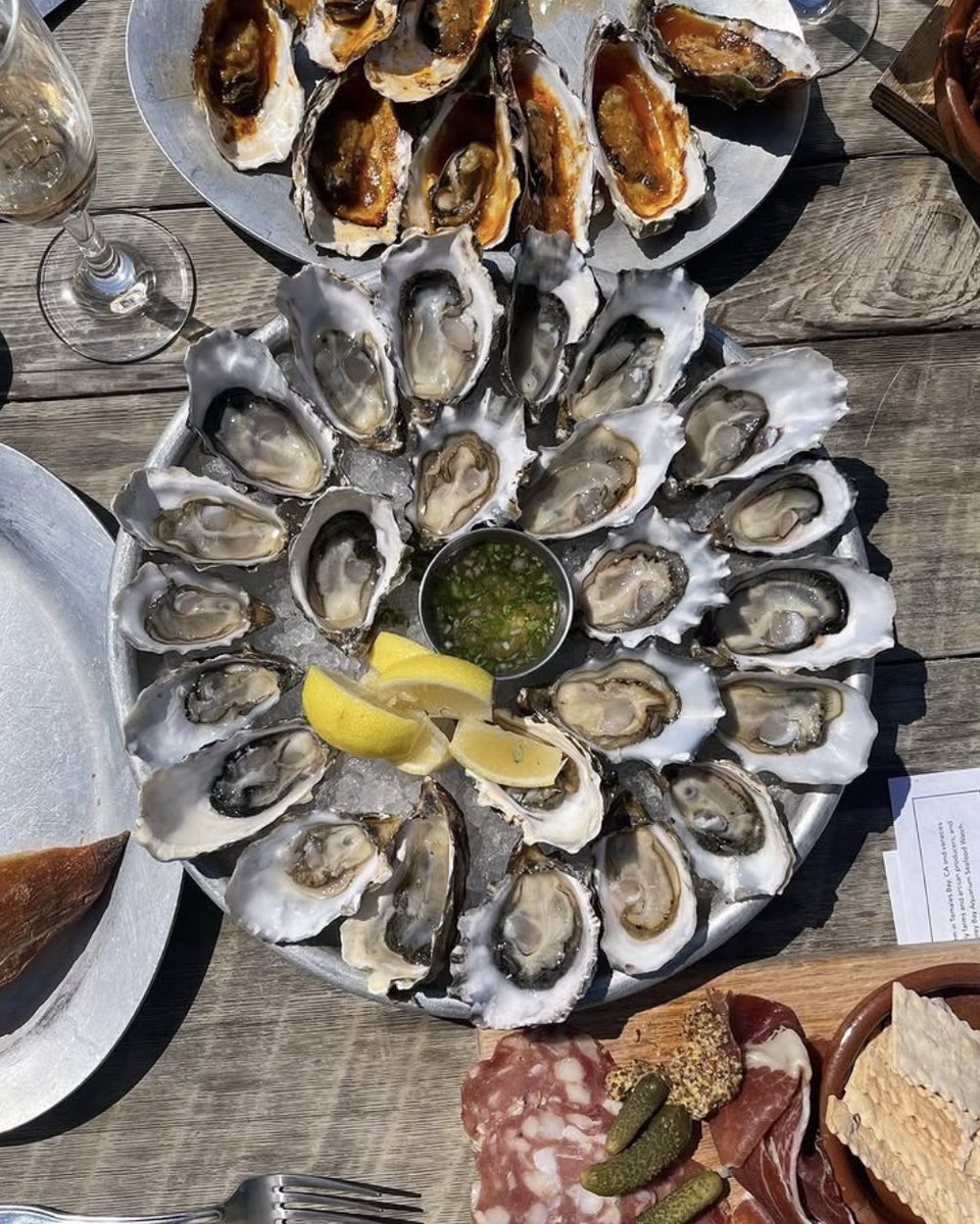Hog Island Oyster Co (@hogislandoyster) on Twitter photo When it's only Tuesday but all you can do is think about the weekend... we'll be drooling over this delicious spread until Friday rolls around at The Boat Oyster Bar! 📷: <a href="/madzmihran/">Madeline Gale</a> // #HogIslandOysterCo #TheBoatOysterBar #Oysters When it's only Tuesday but all you can do is think about the weekend... we'll be drooling over this delicious spread until Friday rolls around at The Boat Oyster Bar! 📷: <a href="/madzmihran/">Madeline Gale</a> // #HogIslandOysterCo #TheBoatOysterBar #Oysters