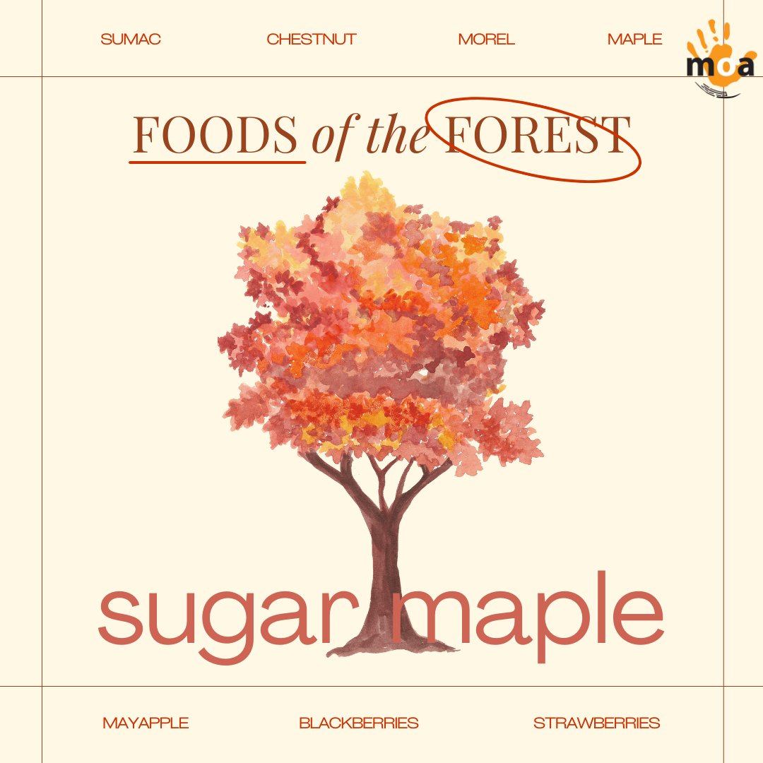 MuseumOntArchaeology tweet media