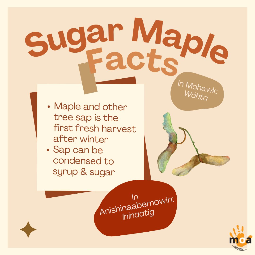 MuseumOntArchaeology tweet media