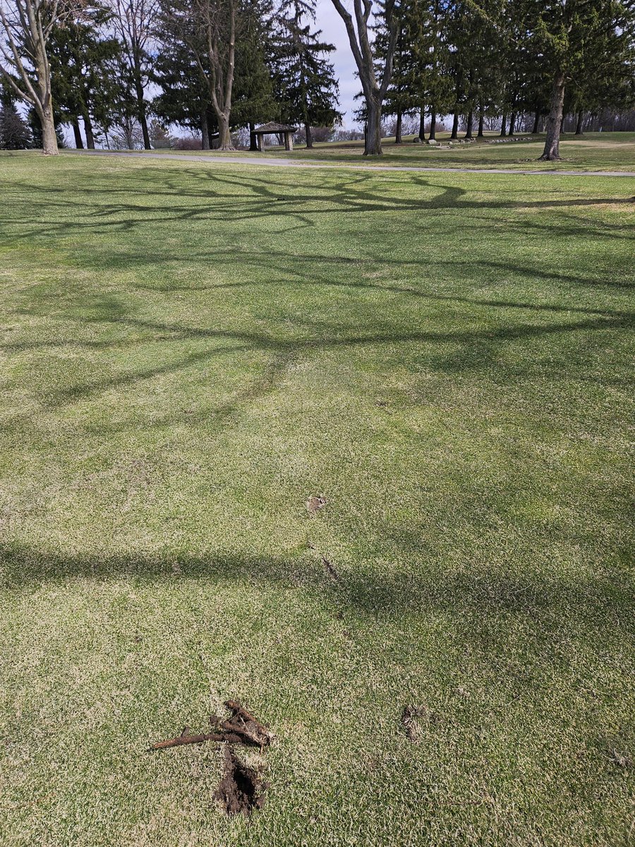 Chuck Barber tweet media