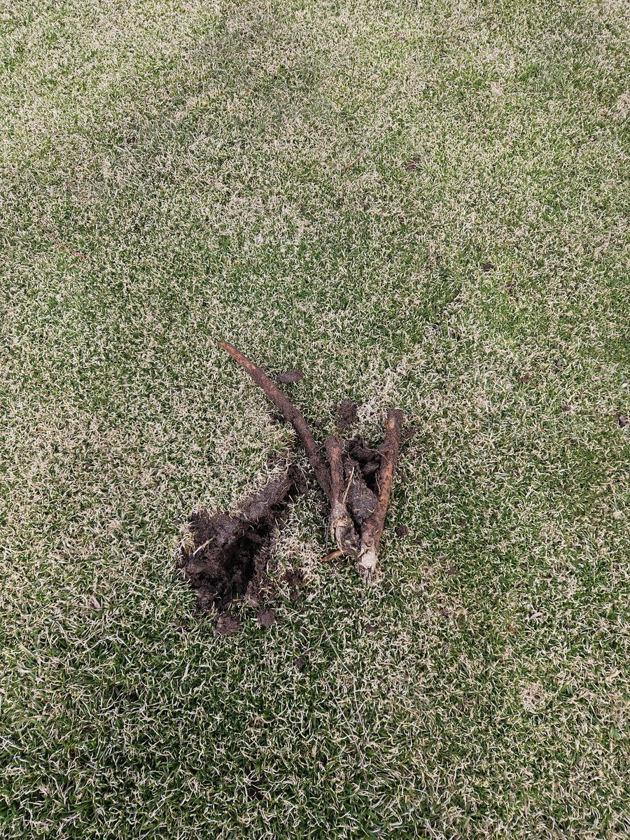 Chuck Barber tweet media