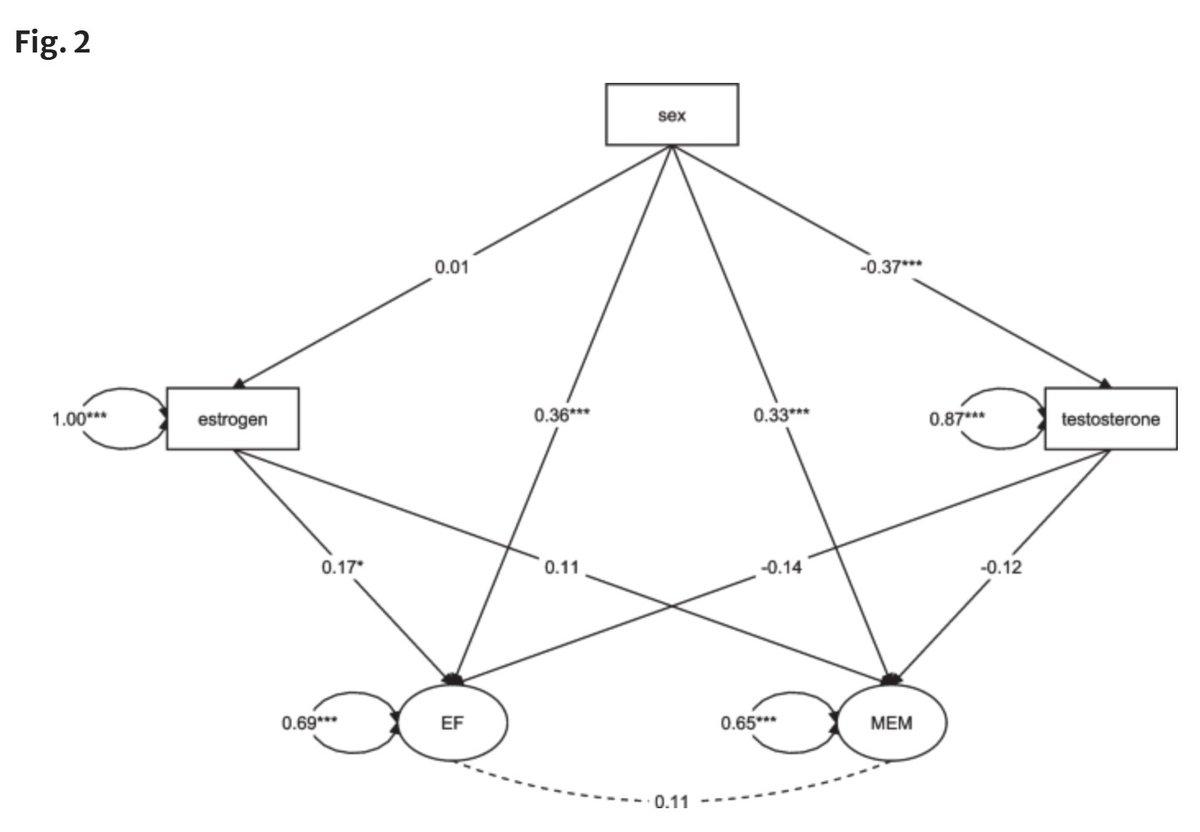 GeroScienceAGE's tweet image. 📢New Open🔓 Access Article Alert
Sex differences in cognitive performance persist into your 80s by Ross Julian &amp;amp; Claudia Voelcker-Rehage et al.
rdcu.be/ee3HG
#cognition #olderadults #executivefunction #hormones #memory #estrogen #Sexdifferences #sexdimorphism…