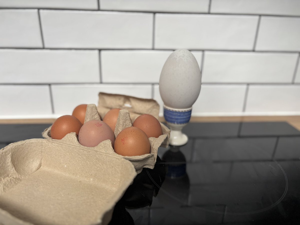 Nothing like fresh eggs including a goose egg from Exeter Farmers Market