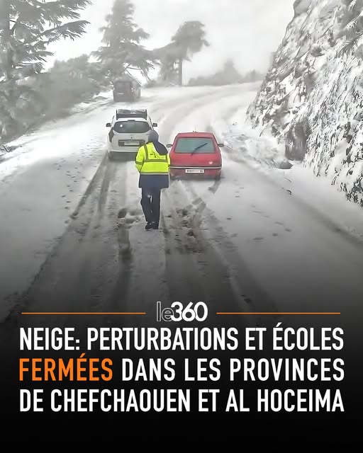AssoClimatoReal's tweet image. #Maroc : la "désertification" de l'Afrique du Nord et du bassin méditerranéen - annoncée par les alarmistes, prend fin, comme ce fut le cas il y a 3 ans en #Californie. La nature a ses cycles qu'il faut savoir surmonter.