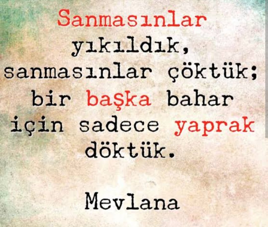 İ. Tamer TOKER tweet media