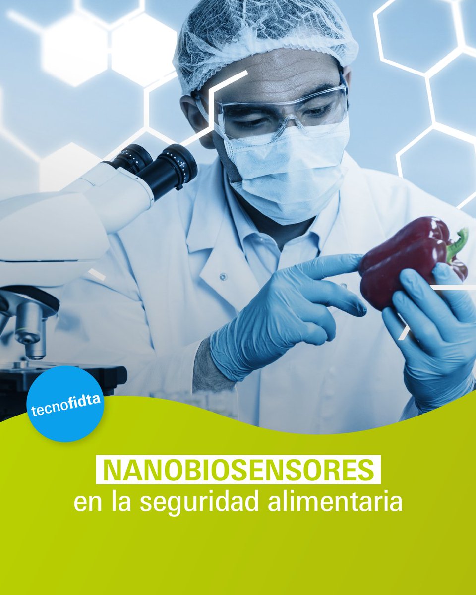 🔬 Nanobiosensores: innovación para la seguridad alimentaria

La detección de patógenos en tiempo real ya es una realidad. Los nanobiosensores permiten:

✅ Análisis ultrarrápidos en minutos
✅ Alta precisión en concentraciones mínimas
✅ Menores costos y optimización de procesos