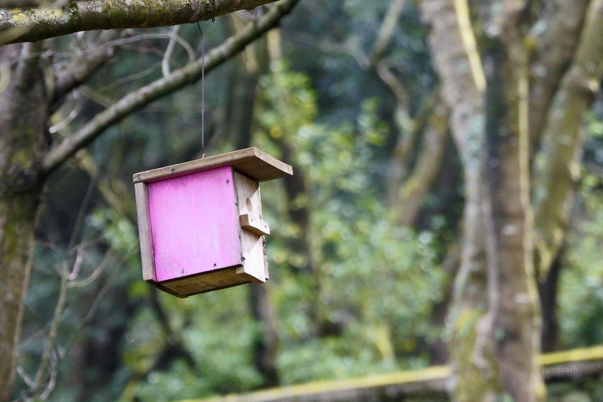 Juankar Hernandez tweet media