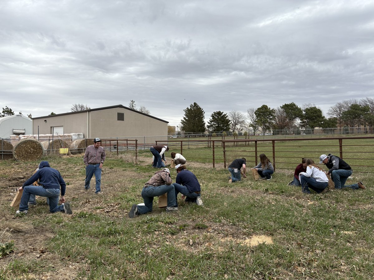 kacie_mccarthy's tweet photo. @UNL_AniSci Graduate student and TA Thomas doing some forage sampling activities today in Cow-calf class and empathizing the importance of testing your forages before feeding your cattle #unlbeef https://t.co/xal5AtjeA6