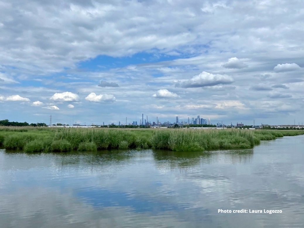 harborestuary's tweet image. Tidal Exchange: Longterm monitoring in the Hudson & more! - mailchi.mp/hudsonriver.or…