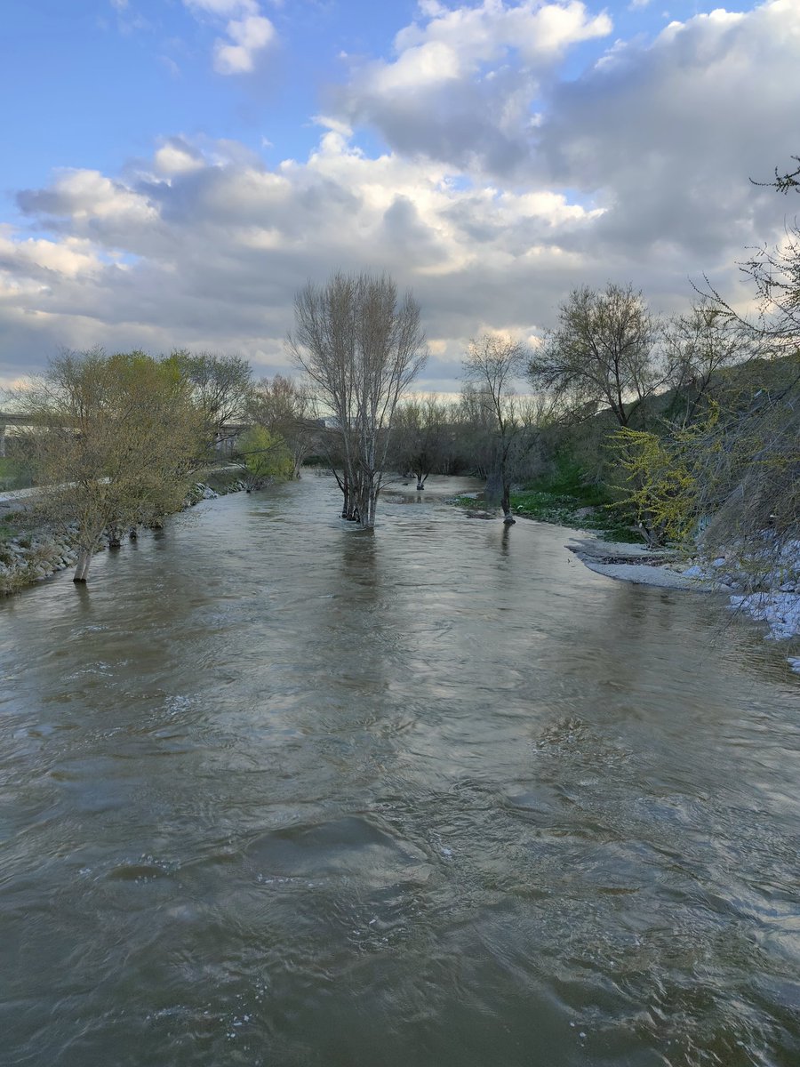 Más fotos del río Manzanares. Éstas de la zona sur de Madrid, ya abandonando la ciudad y en el límite con Getafe, por donde sigue su cauce. 23/03/2025.
#manzanares 
#riomanzanares 
#madridrio