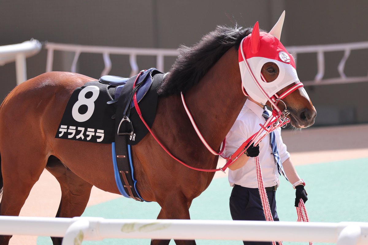 INONECO0706's tweet image. 出資者さんに届くと良いな😊
2025年3月23日
阪神競馬場9R 讃岐特別
#テラステラ③
#広尾サラブレッド倶楽部