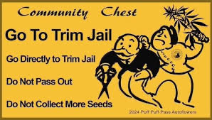 Scoo_B (@scoobgrows420) on Twitter photo 