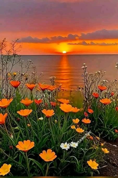 No hay que perder la humildad.  Por grandes que sean tu casa y tu cuenta bancaria, de aquí nada nos llevaremos.  
Vive ahora, el tiempo es limitado. La vida es una maravillosa aventura si la enfocas como debe ser. 
#FelizMartesATodos