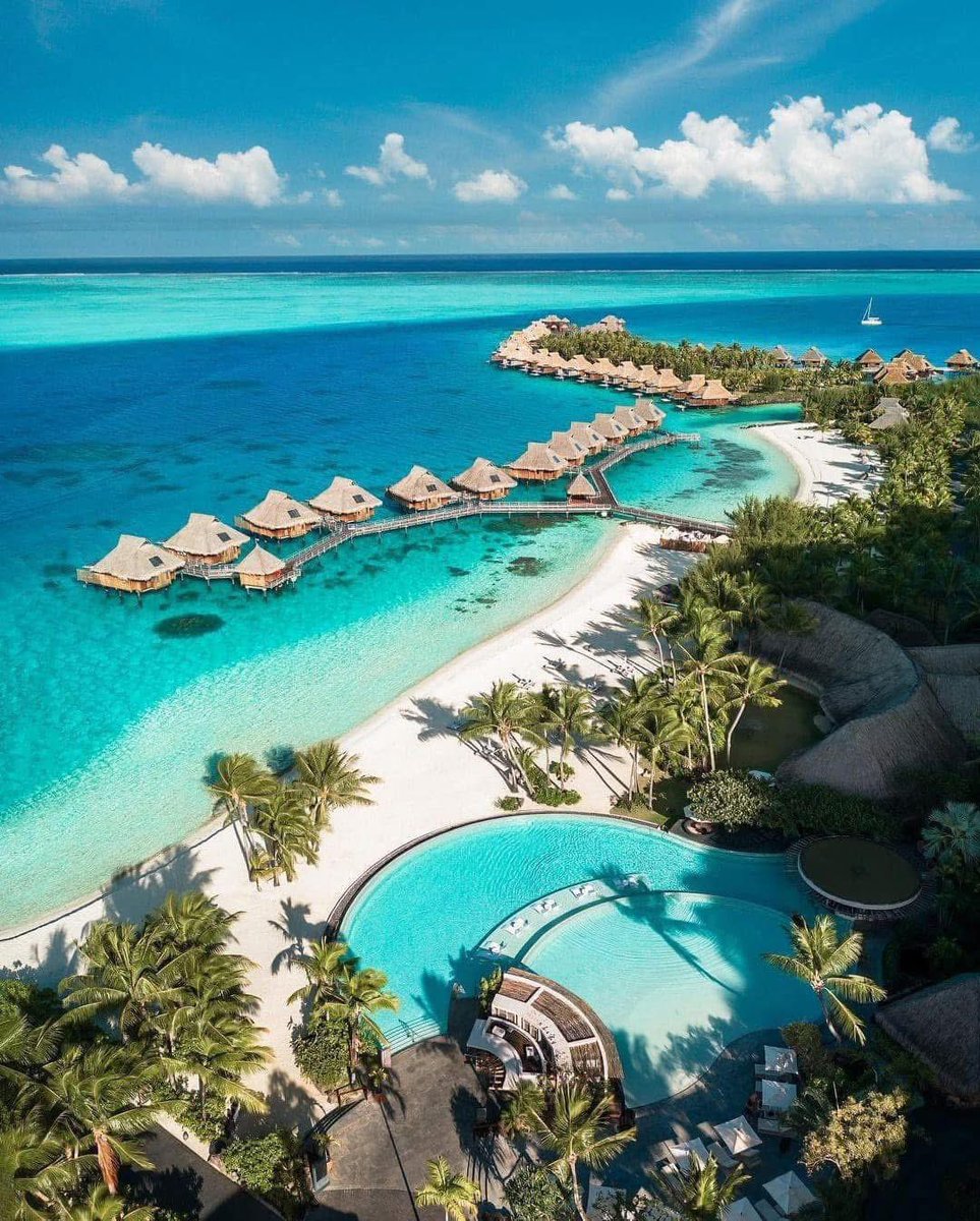 NomadNest 🪪🛩️🏝️🍹🏔️⛺️ tweet media