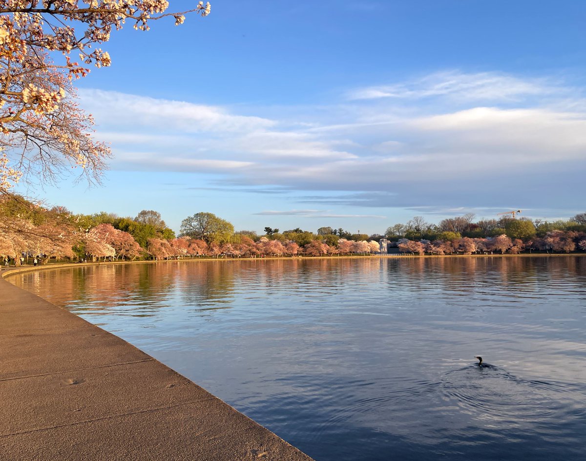 National Mall NPS tweet media
