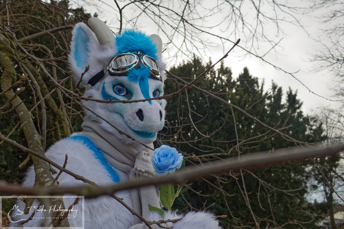 Tokala Tarka 🦊🦊 (@lupus_woofy) on Twitter photo the charming ice dragon. what would you do ?
suiter <a href="/Bluehasia/">Blue Hasia Photography</a>
suit maker <a href="/Komickrazi/">Temperance</a>
picture by me the charming ice dragon. what would you do ?
suiter <a href="/Bluehasia/">Blue Hasia Photography</a>
suit maker <a href="/Komickrazi/">Temperance</a>
picture by me