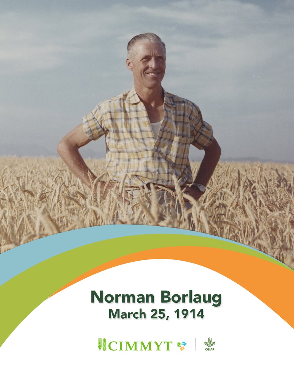 Today <a href="/CIMMYT/">CIMMYT</a> &amp; partners are celebrating the birth of #DrNormanBorlaug. Here in Ciudad Obregón his pioneering example inspires us to tackle global food stability &amp; peace by innovating &amp; applying science to support farmers. We are committed to carrying his legacy forward worldwide