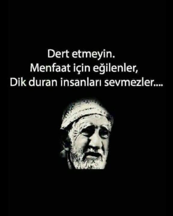 Tevhit Köroğlu tweet media