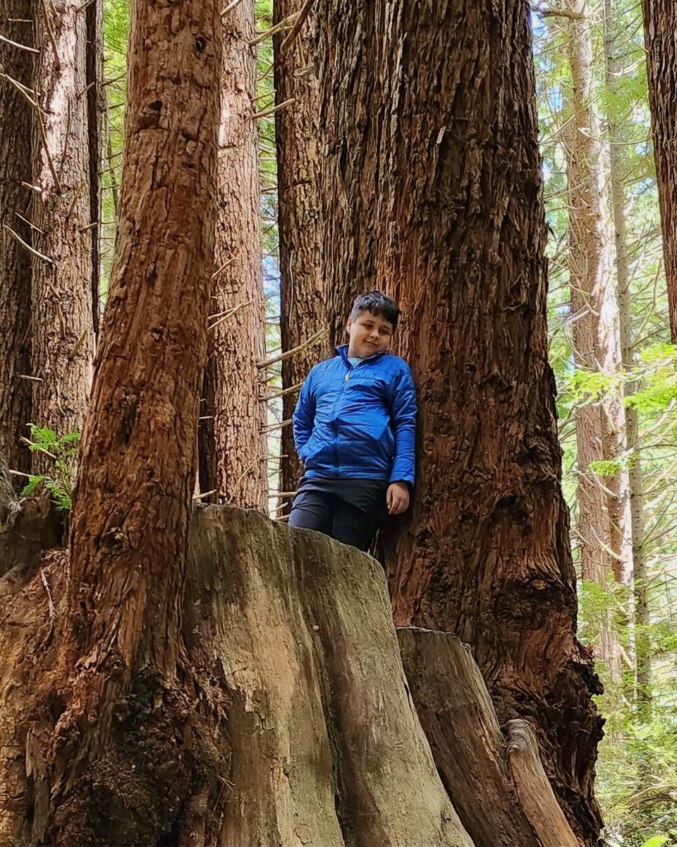 Make-A-Wish America tweet media