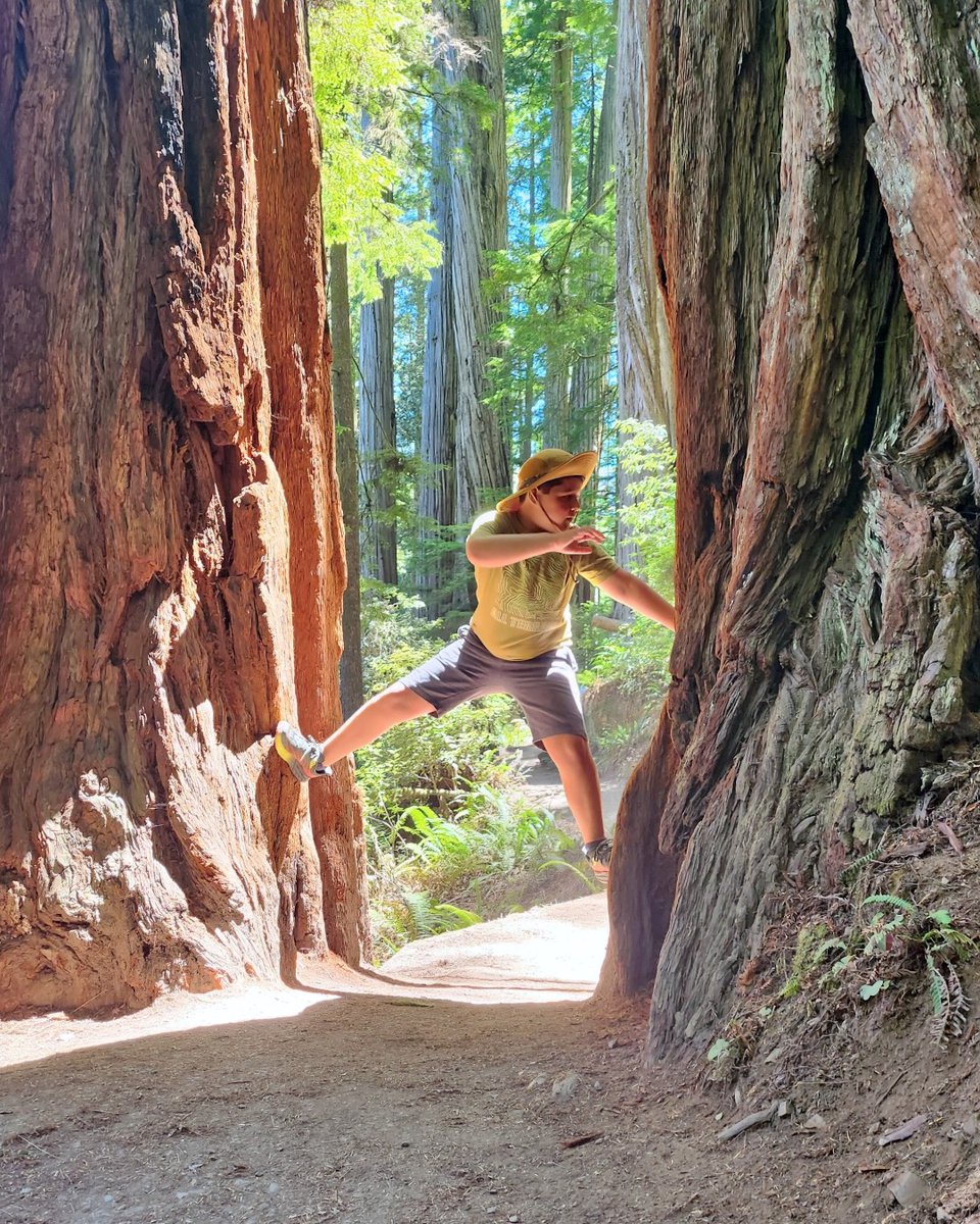 Make-A-Wish America tweet media