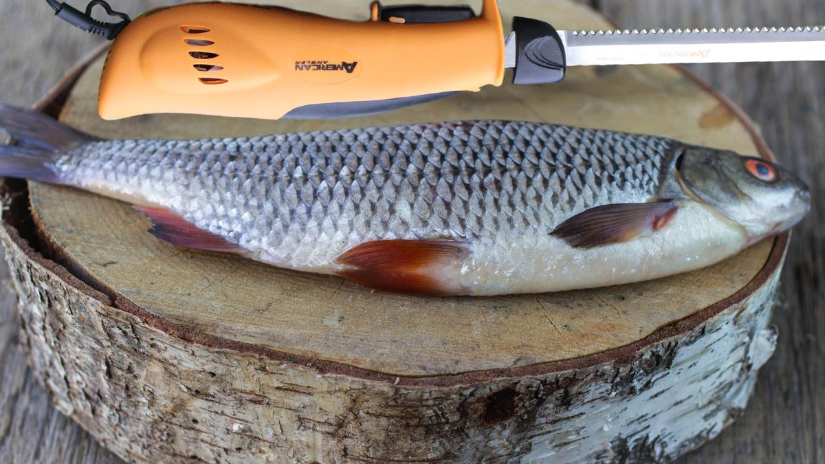 AA_Fishing's tweet photo. Make the most out of your catches with American Angler! #FilletWithAA #AmericanAngler https://t.co/humF1C6OTT