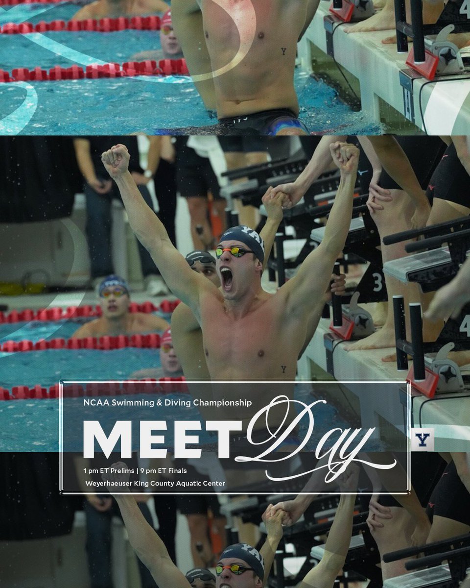 NCAA Championships Day 2!

Noah Millard (500 free), Nick Finch (50 free) and the 200 free relay will be competing for the Bulldogs!

📺 tinyurl.com/5n8npwb4 (prelims)
📺 tinyurl.com/36tpzdhe (finals)
📊 tinyurl.com/ybz4fdf6

#ThisIsYale