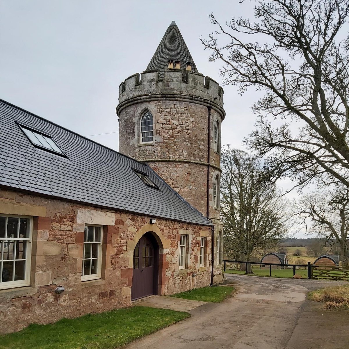 Transitions tweet media