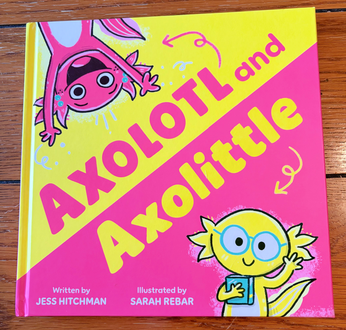 She_Scribes's tweet image. If you are looking for some non-candy Easter basket ideas, Easter books, spring books or just wonderful books to add to your family library, check out these new titles from Sourcebooks.
tinyurl.com/3humc52t
#Sourcebooks #KidsBooks #ChildrensBooks #EasterBooks #Easter