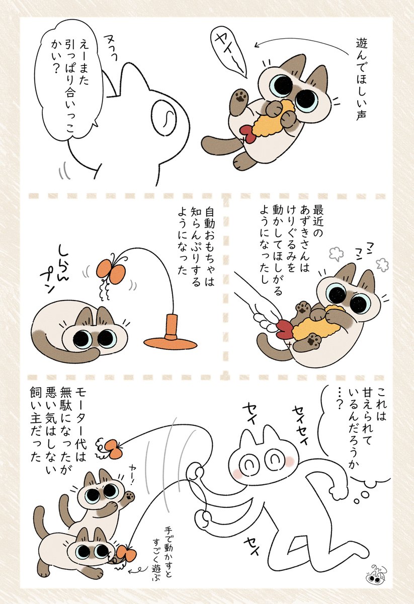 かまってもらえてうれしい(飼い主の方が) #シャム猫あずきさんは世界の中心 